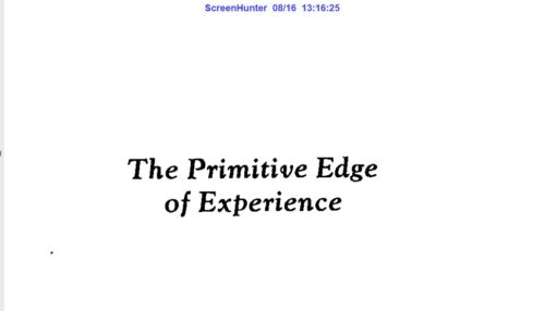 The Primitive Edge of Experience