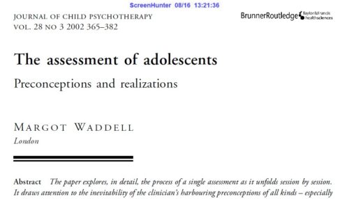 The assessment of adolescents