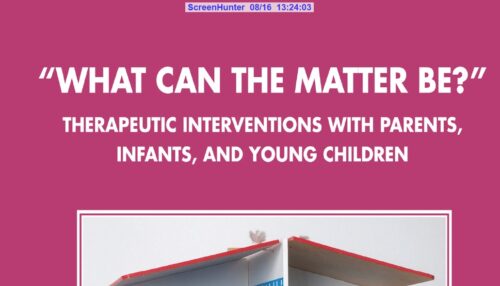 What Can the Matter Be?: Therapeutic Interventions with Parents, Infants and Young Children