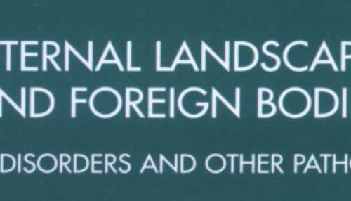 Internal Land and scapes Foreign Bodies
