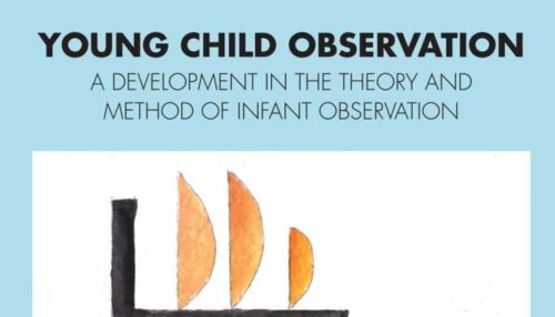 YOUNG CHILD OBSERVATION