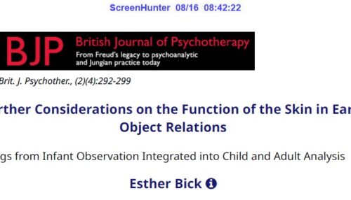 Further Considerations on the Function of the Skin in Early Object Relations