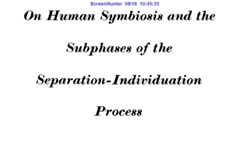 On Human Symbiosis and the Subphases of the Separation-Individuation Process